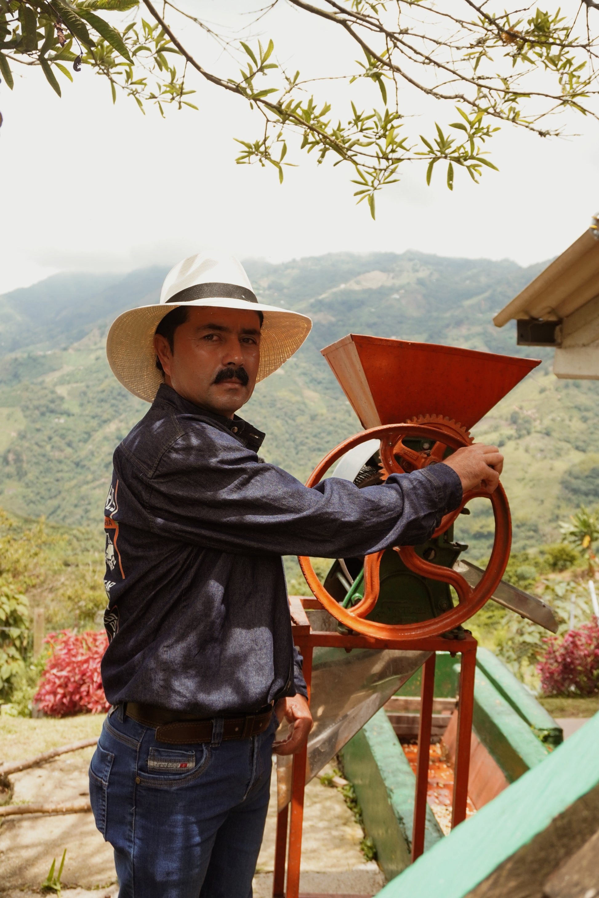 Microlote café Nevio Ramírez 250g.