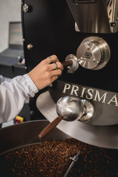 Clase: Introducción a los cafés especiales