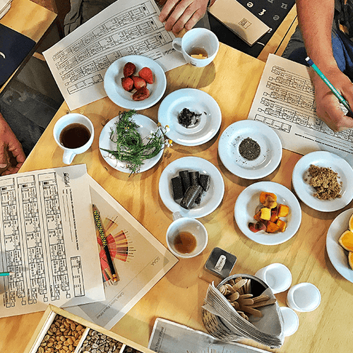Clase: Introducción a los cafés especiales