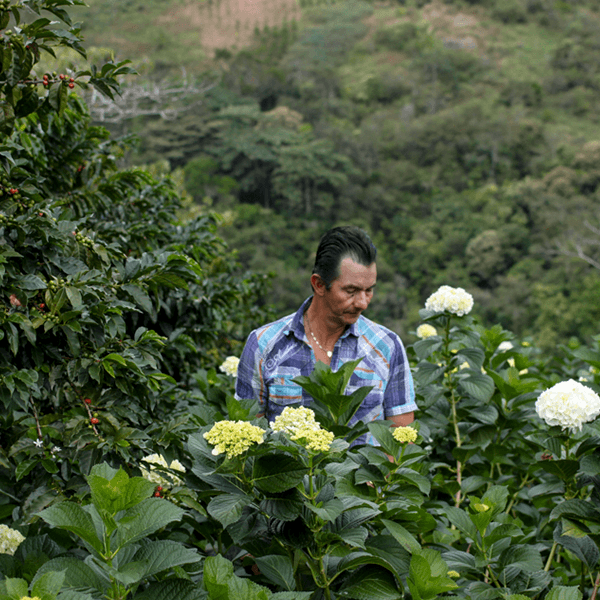 Café Microlote Efraín Henao 250g · Cofundador