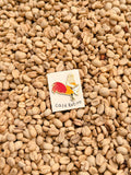 Pin Cafetero Metálico de Colección